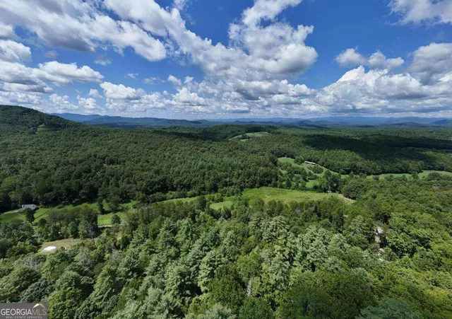 $449,900 | 1048 Hawks Claw Road, Unit 4, Morganton, GA 30560