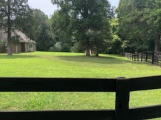 1648 Maple Valley Road Charlotte, TN 37036 - Photo 4 of 17 Back yard View