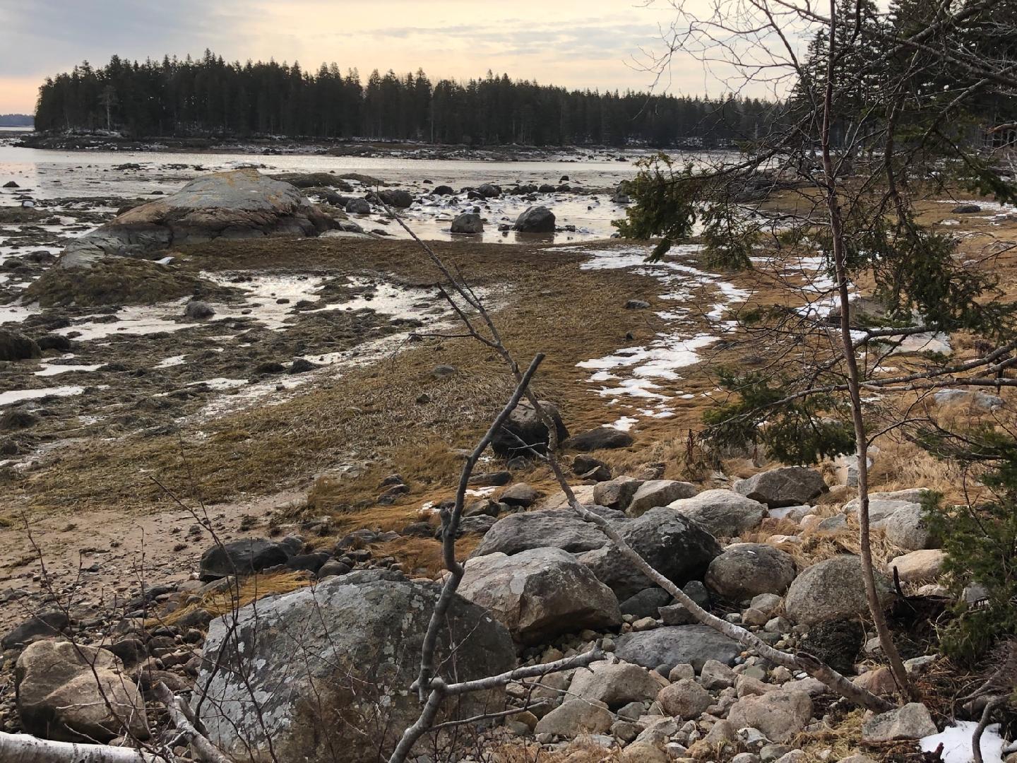 Lot 8 Pyne Cove Road Steuben, ME 04680 - Photo 12 of 28 696695336