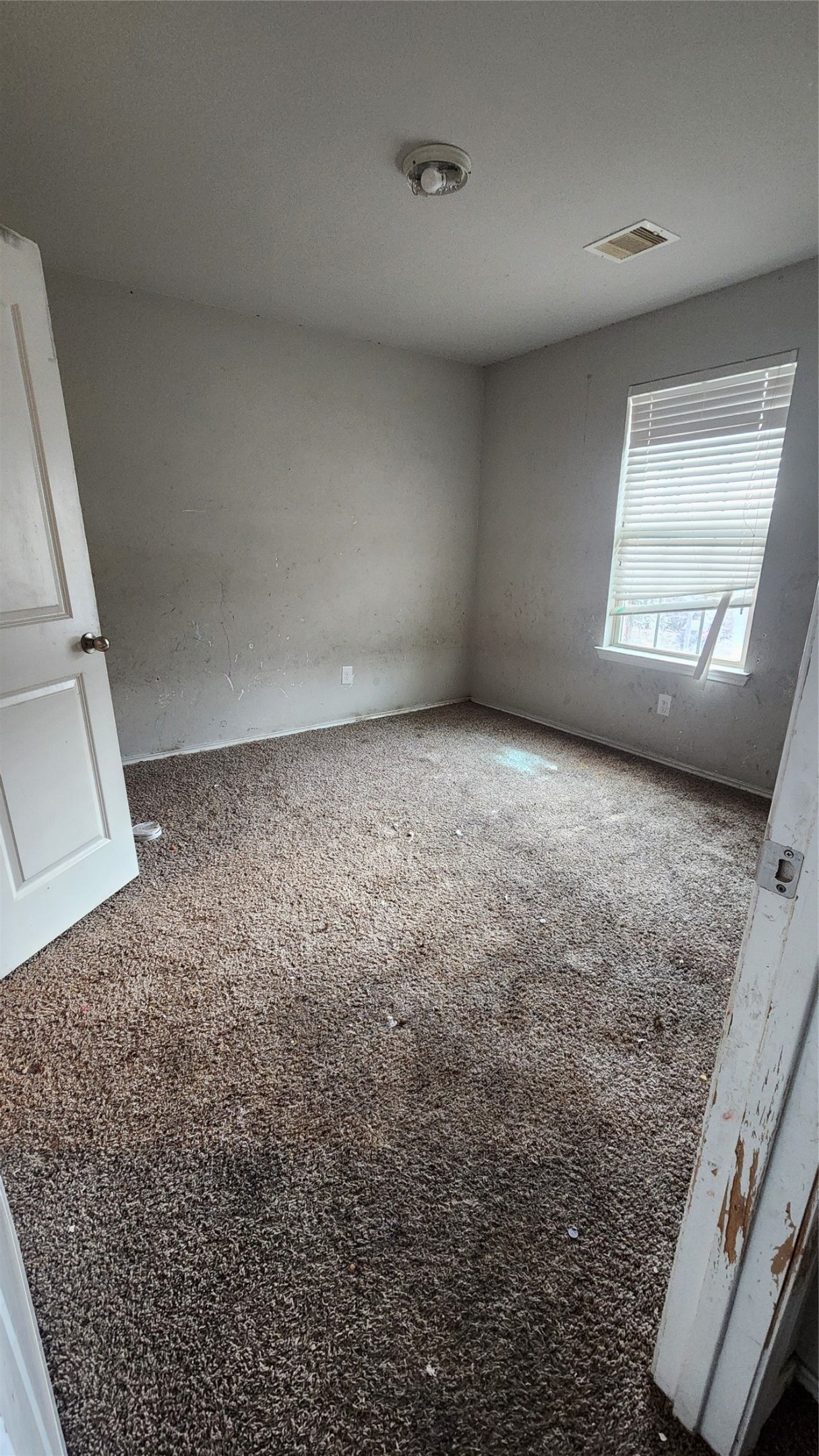 5612 Rainflower Terrace Lane Spring, TX 77389 - Photo 20 of 22