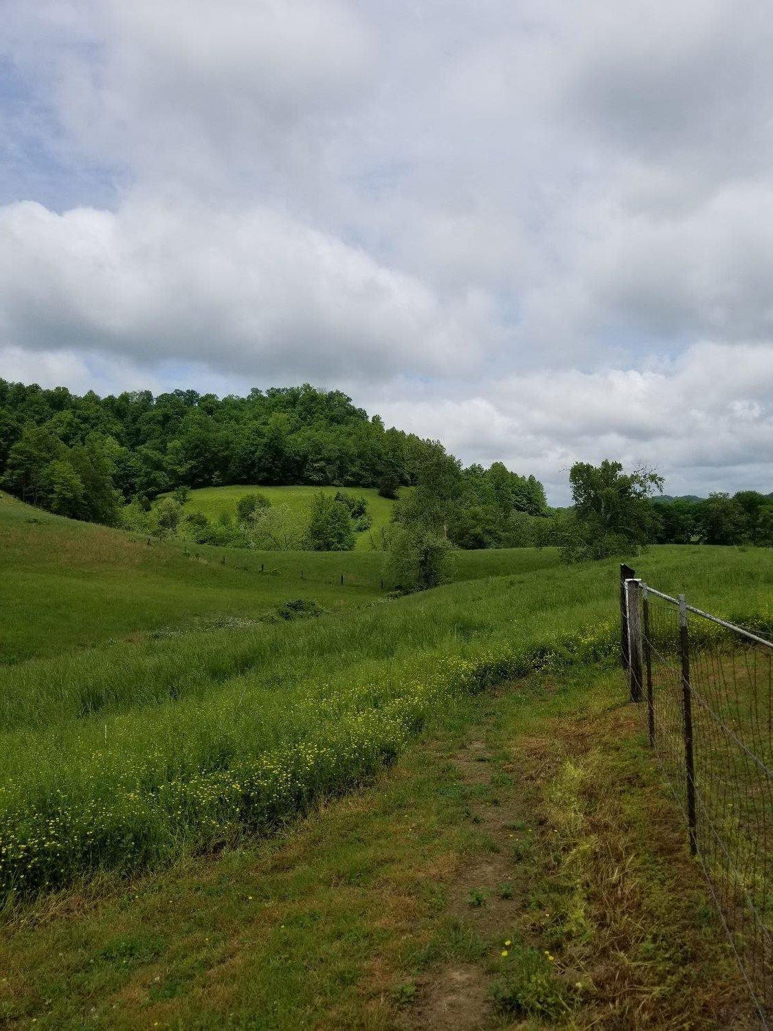 809 Mill Branch School Road Beattyville, KY 41311 - Photo 65 of 97 Photo 66