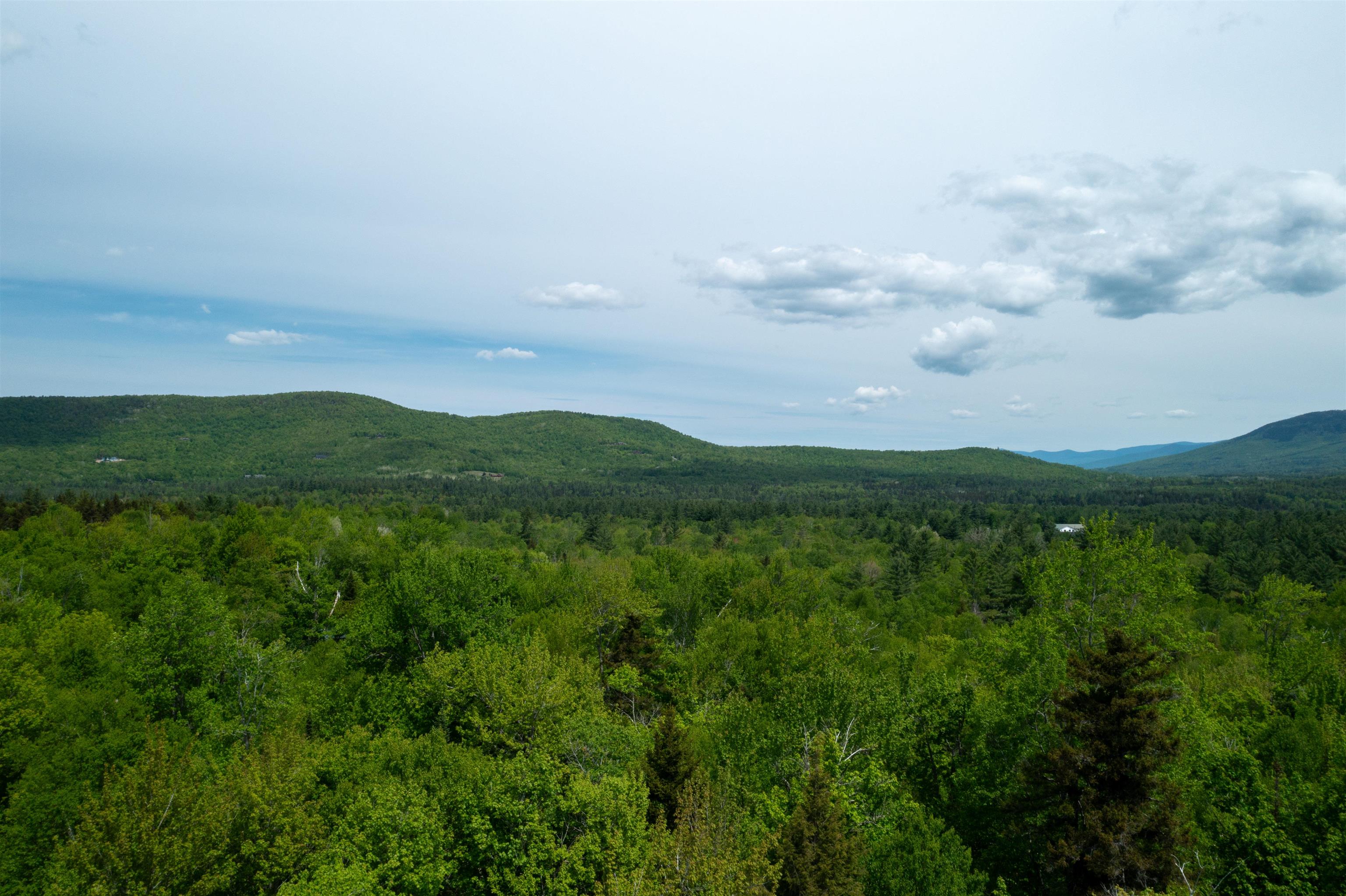 0 Ridgeview Drive Twin Mountain, NH 03595 - Photo 10 of 10
