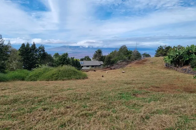a view of a road with an ocean view