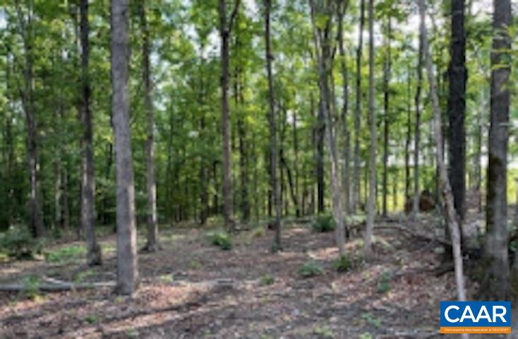 1 Wilmington Road Palmyra, VA 22963 - Photo 2 of 3 a view of outdoor space and green space