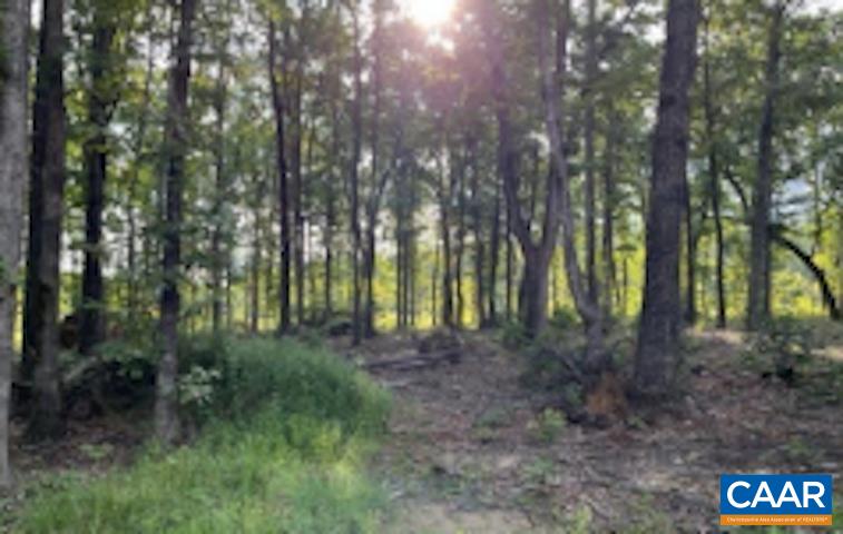 1 Wilmington Road Palmyra, VA 22963 - Photo 3 of 3 a view of outdoor space and trees