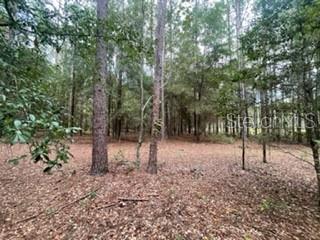 Tbd 49th Drive Wellborn, FL 32094 - Photo 1 of 1