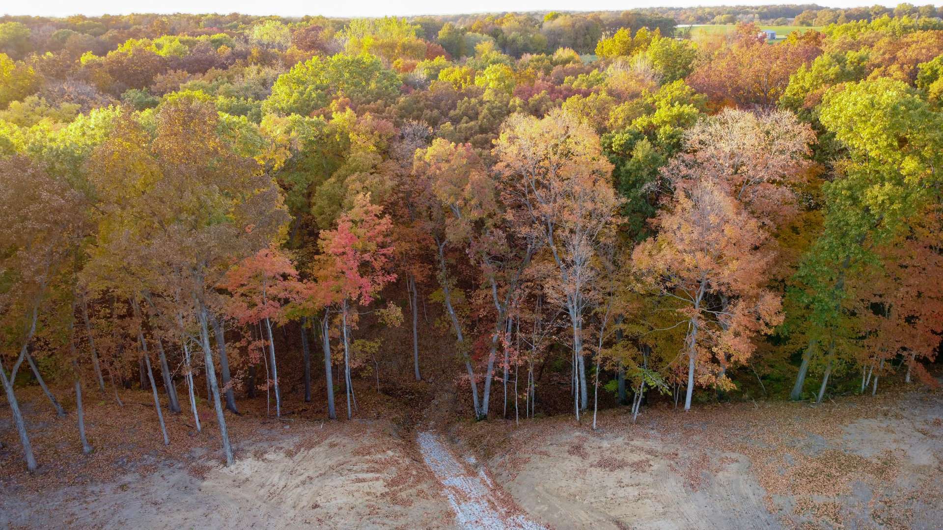 0 North 1959th Road Grand Ridge, IL 61325 - Photo 3 of 10 a view of an outdoor space and trees