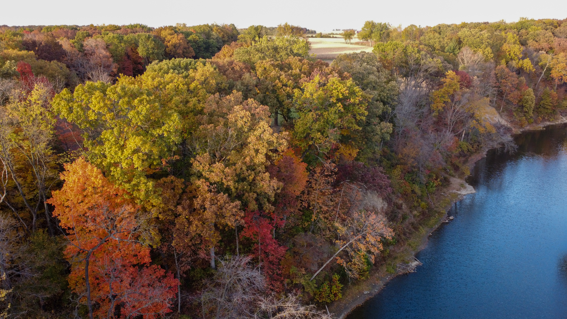 0 North 1959th Road Grand Ridge, IL 61325 - Photo 6 of 10 a view of a lot of trees