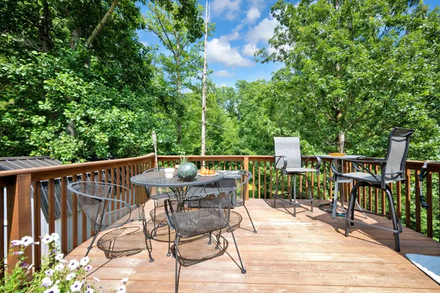 a view of a park with large trees