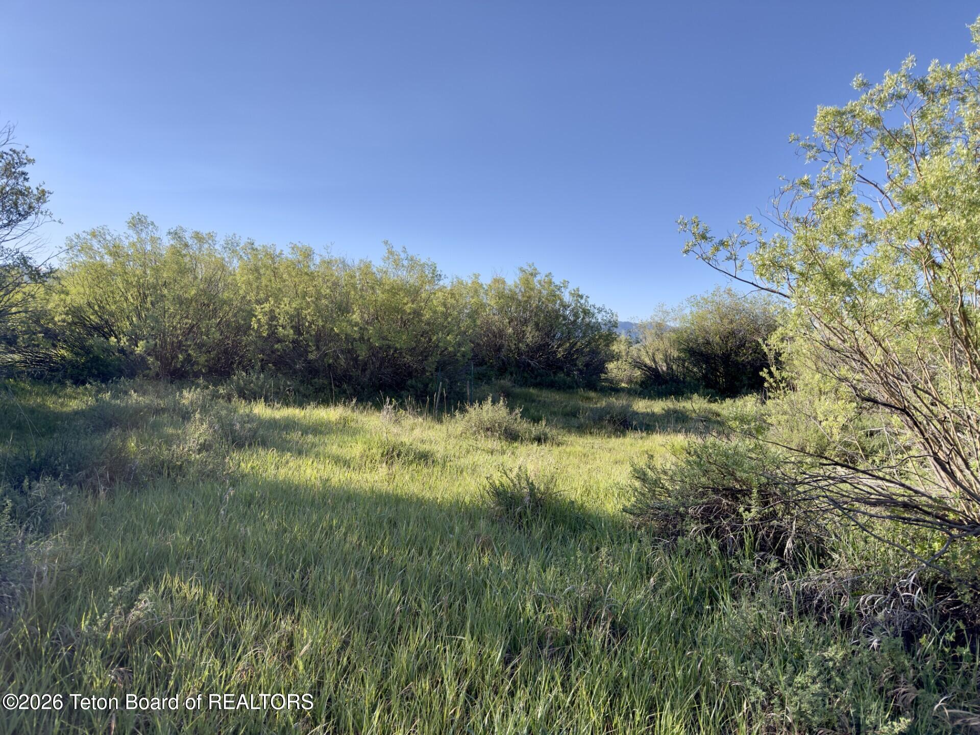 3329 Trout Creek Road Victor, ID 83455 - Photo 10 of 12 Build Site are