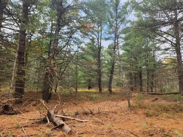 $52,900 | Parcel K Parcel K Tatanka Trail, Baldwin, MI 49304