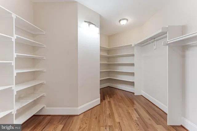 a view of a white house with a yard potted plants and a large tree
