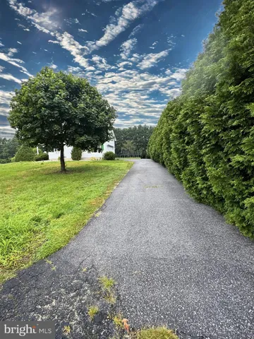 a view of a garden with an outdoor space