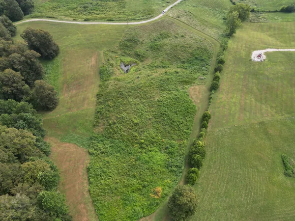 an aerial view of residential houses with outdoor space and trees