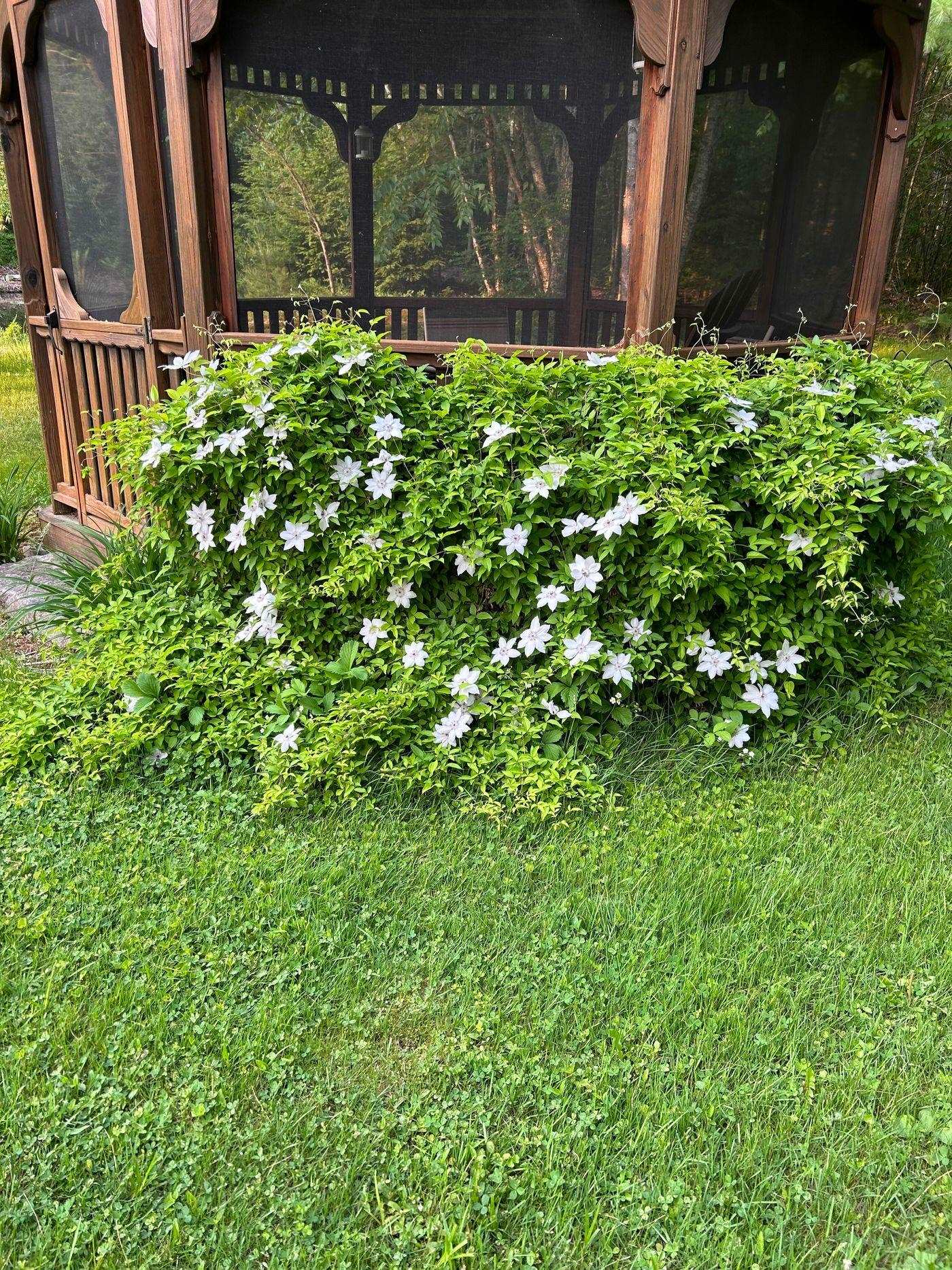 428 N Road Salisbury, NH 03235 - Photo 48 of 54