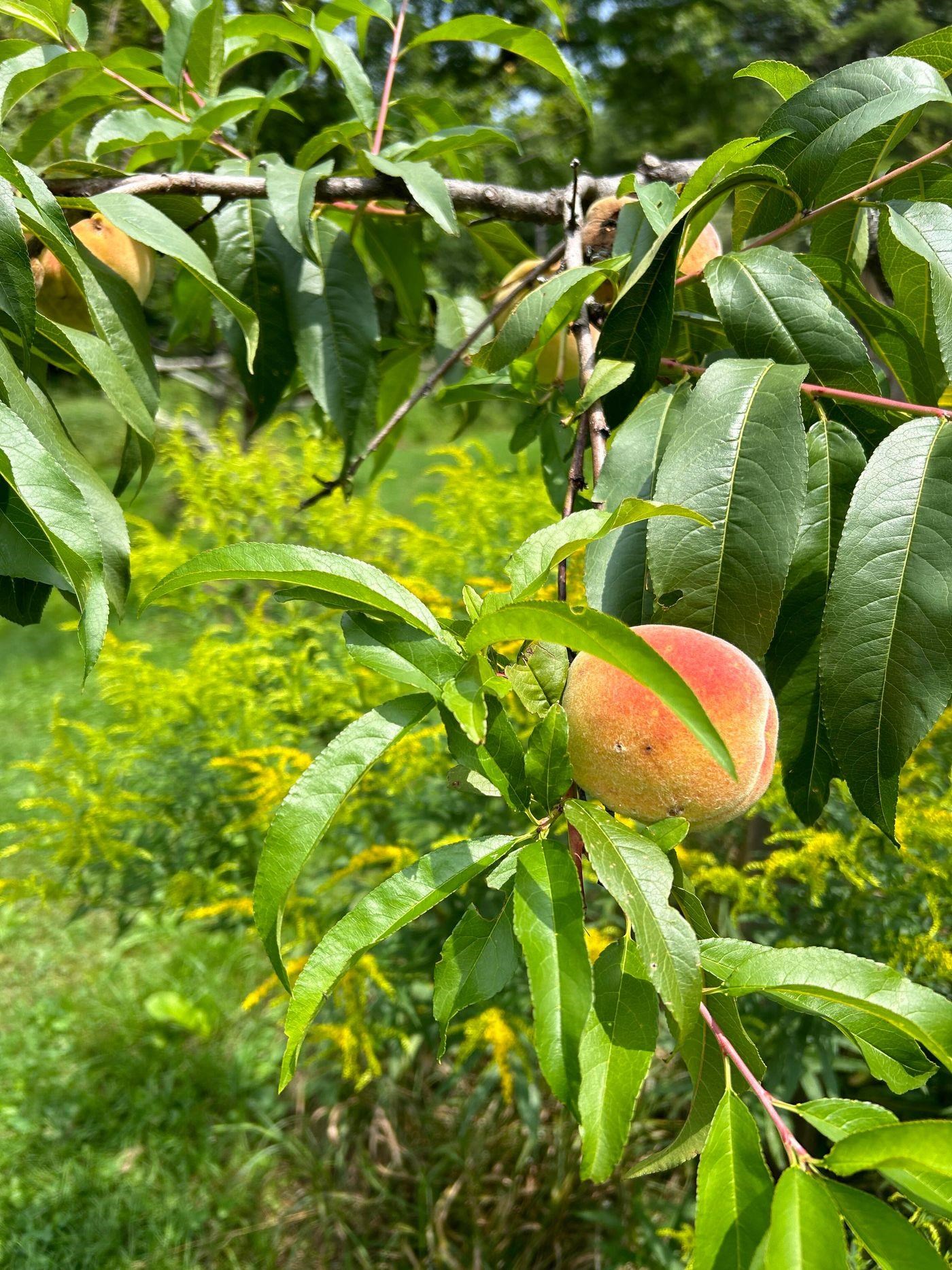 428 N Road Salisbury, NH 03235 - Photo 49 of 54