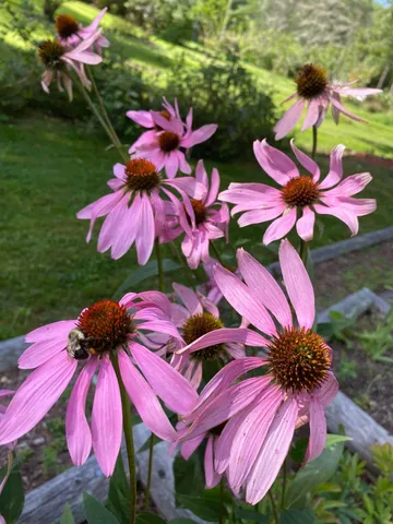 $1,595,000 | 428 N Road, Salisbury, NH 03235