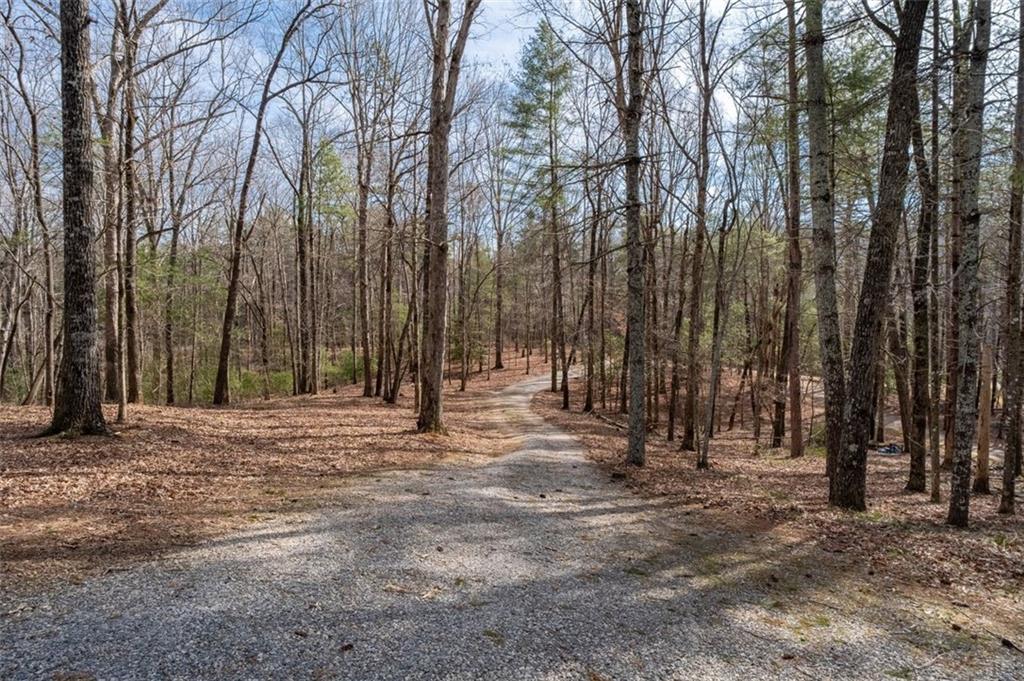 858 River Forest Run Cleveland, GA 30528 - Photo 41 of 41