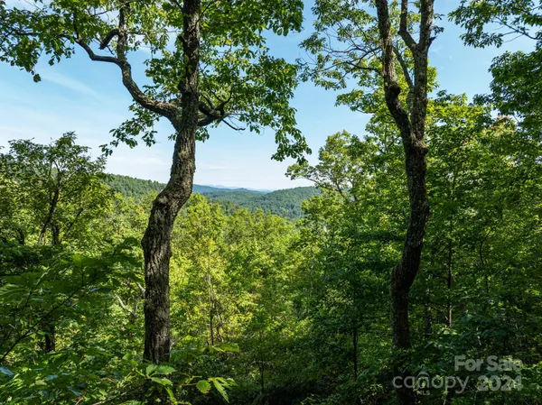 $165,000 | Lot 25 Panther Mountain Road, Unit CVNCVN025, Zirconia, NC 28790