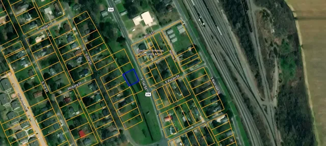 a close up of a plant in a garden