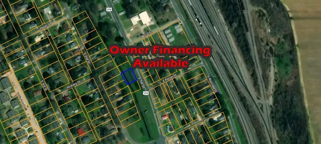 a close up of a plant in a garden