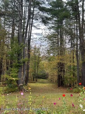 a view of outdoor space and garden