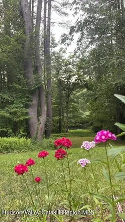 a view of bunch of flowers and flowers
