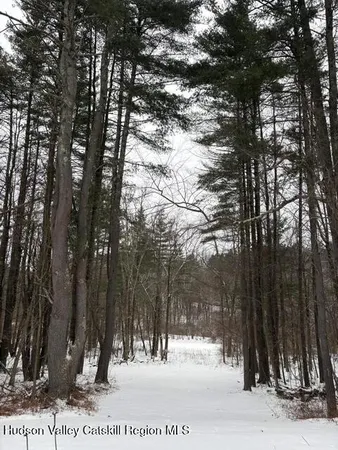 $499,000 | 186 West Hand Hill Road, East Nassau, NY 12062