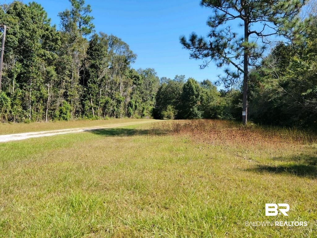 10475 Padgett Switch Road Irvington, AL 36544 - Photo 1 of 9
