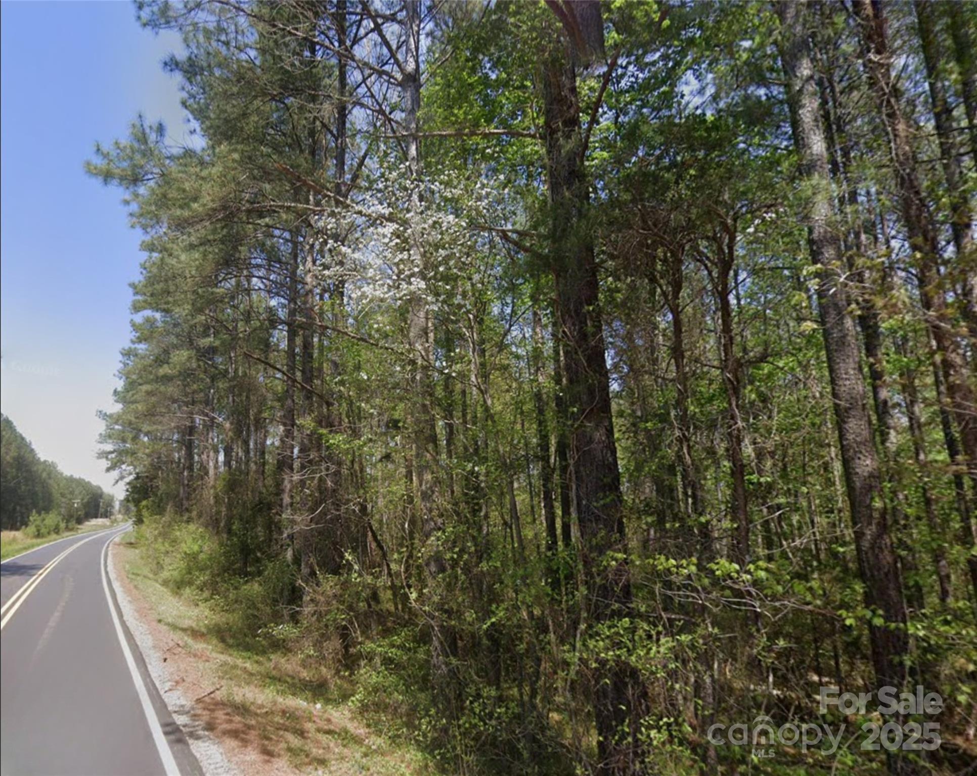 a view of a forest filled with trees