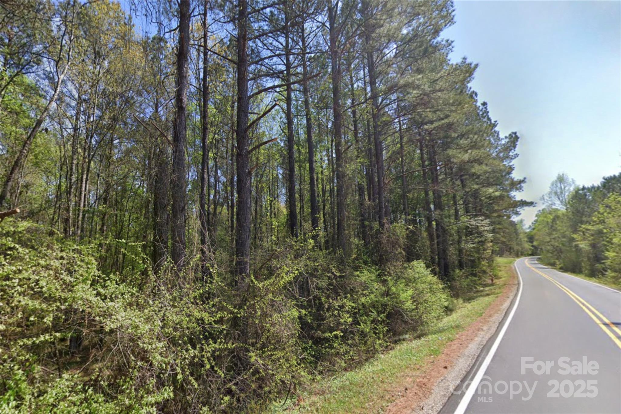 999 Pearidge Road, Unit 3 Bostic, NC 28018 - Photo 2 of 3 a view of a yard with plants and a bench