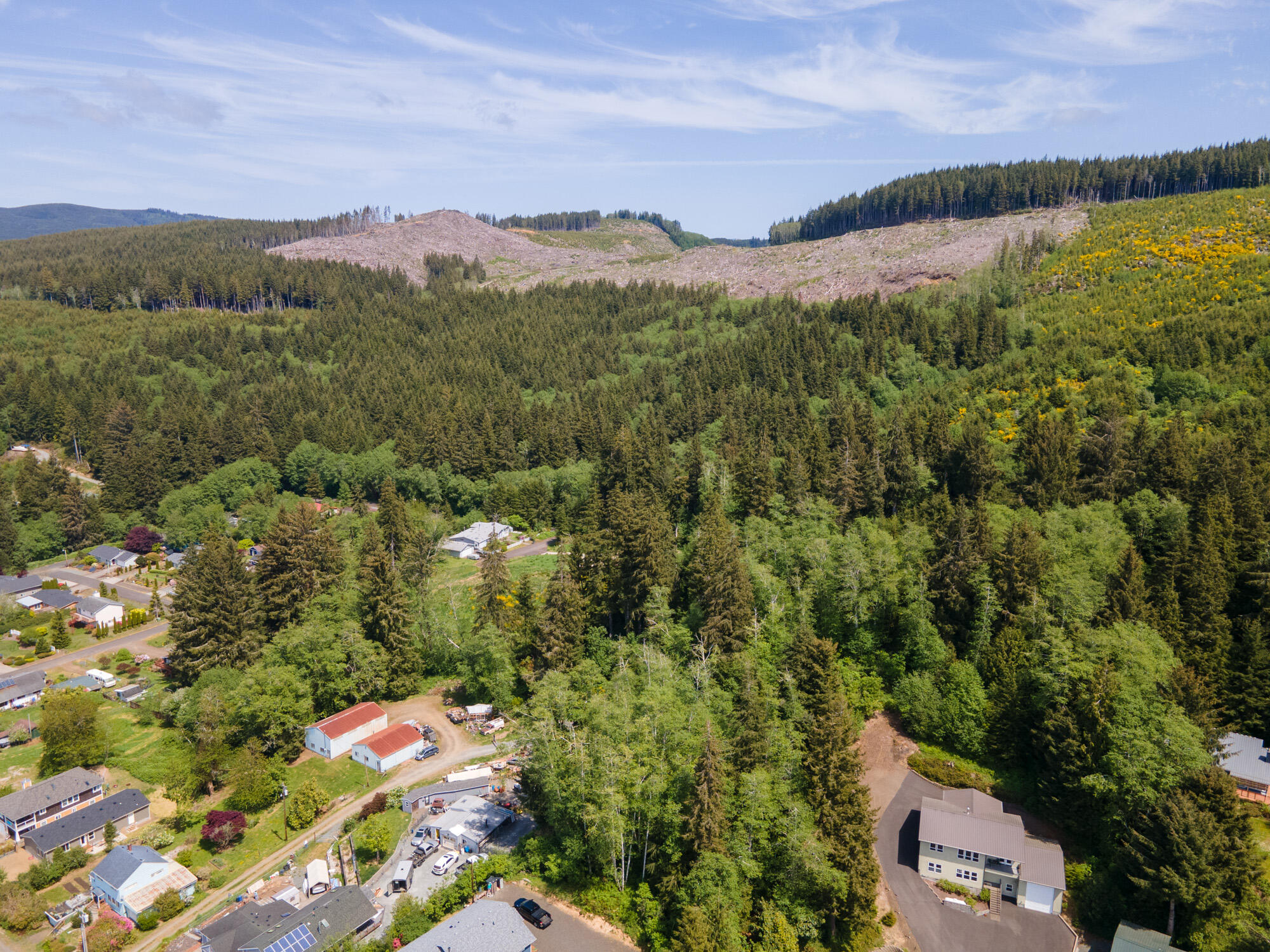 V/l Rector Street Wheeler, OR 97147 - Photo 11 of 13 DJI_0007