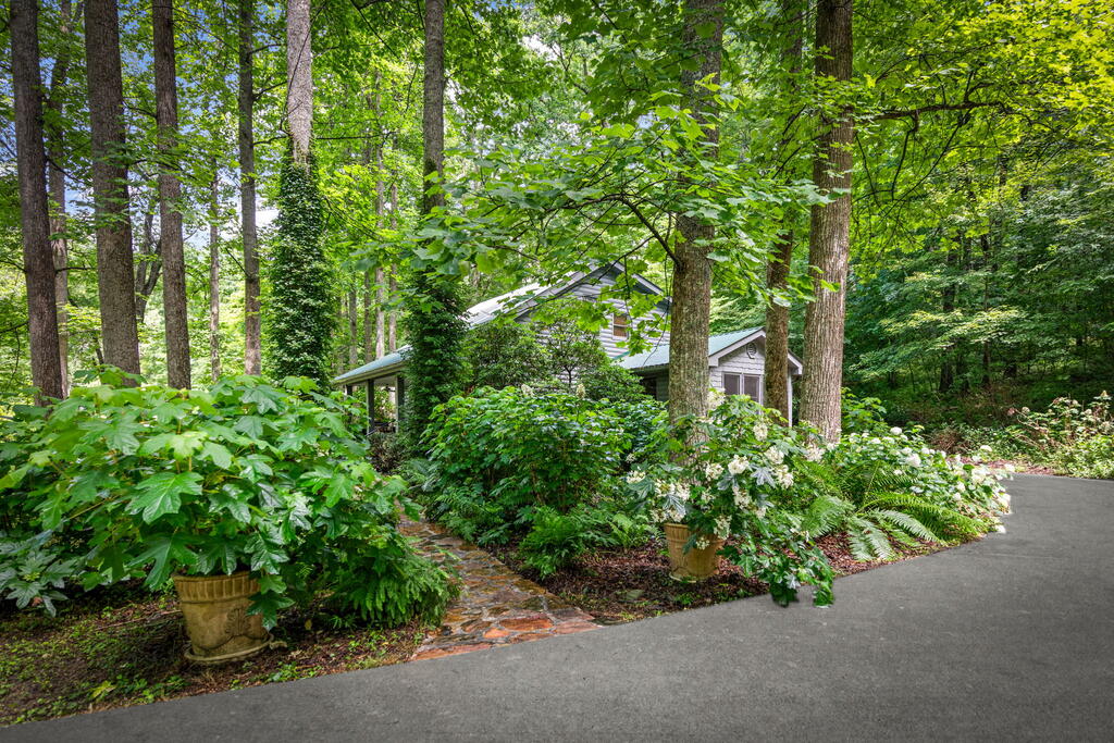 2977 Highway 2 Blue Ridge, GA 30513 - Photo 75 of 87 Gallery Image 75