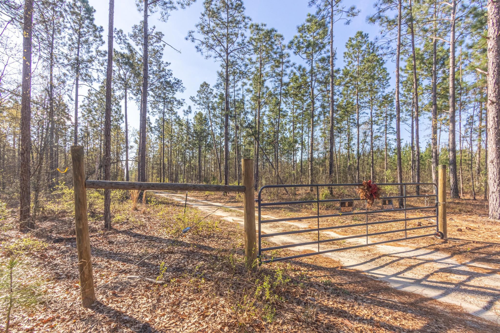 828 Hutto Pond Road Aiken, SC 29805 - Photo 2 of 10