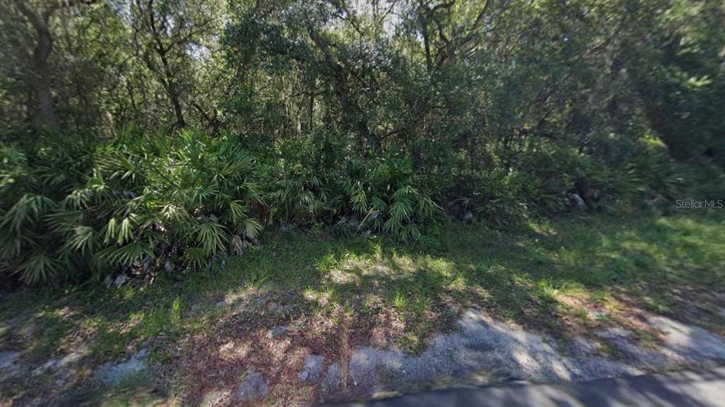 849 North Horse Prairie Road Inverness, FL 34450 - Photo 3 of 4 Gallery Image 3