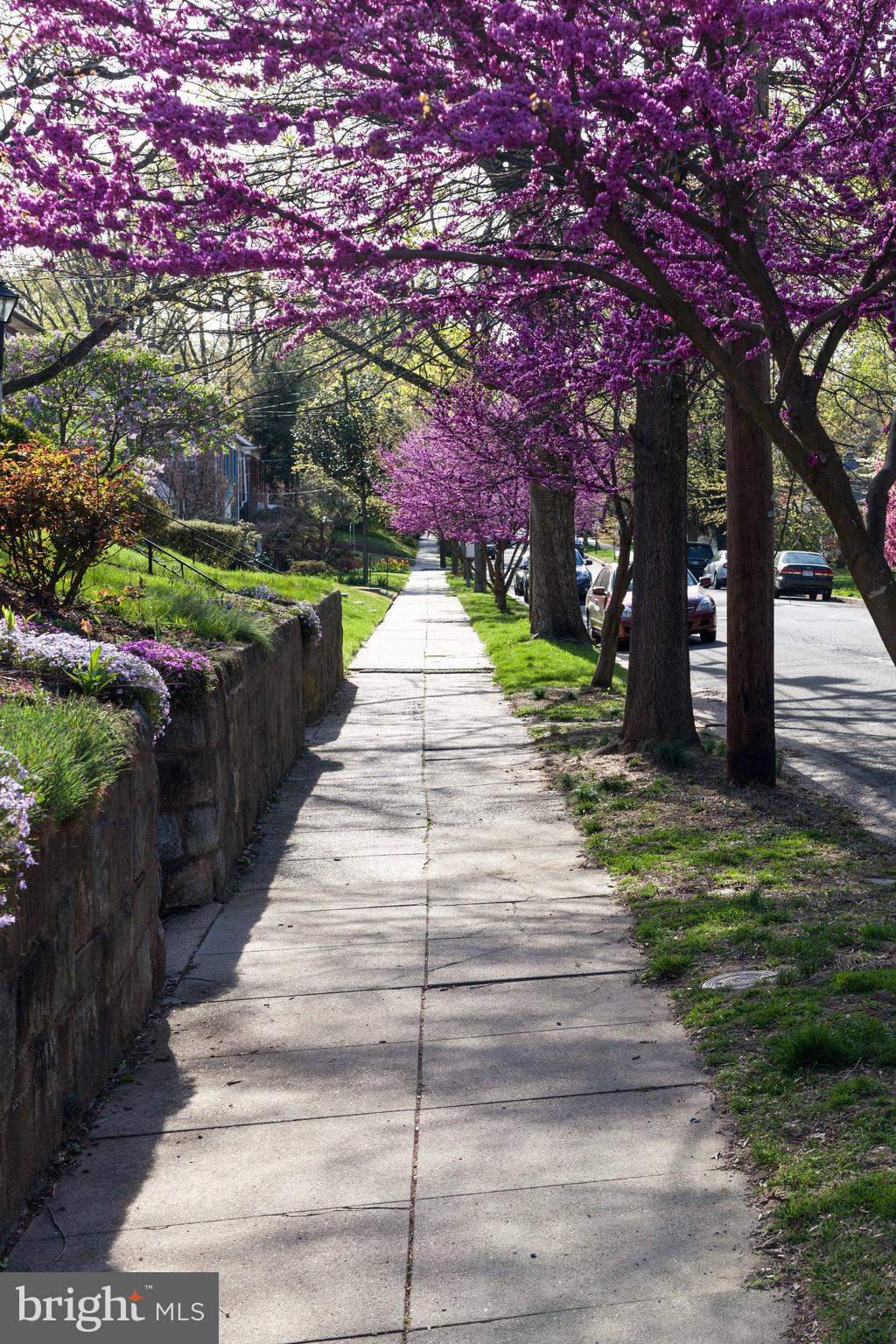 1519 Constitution Avenue Northeast, Unit 101 Washington, DC 20002 - Photo 25 of 32 a view of a pathway with a wrought fence