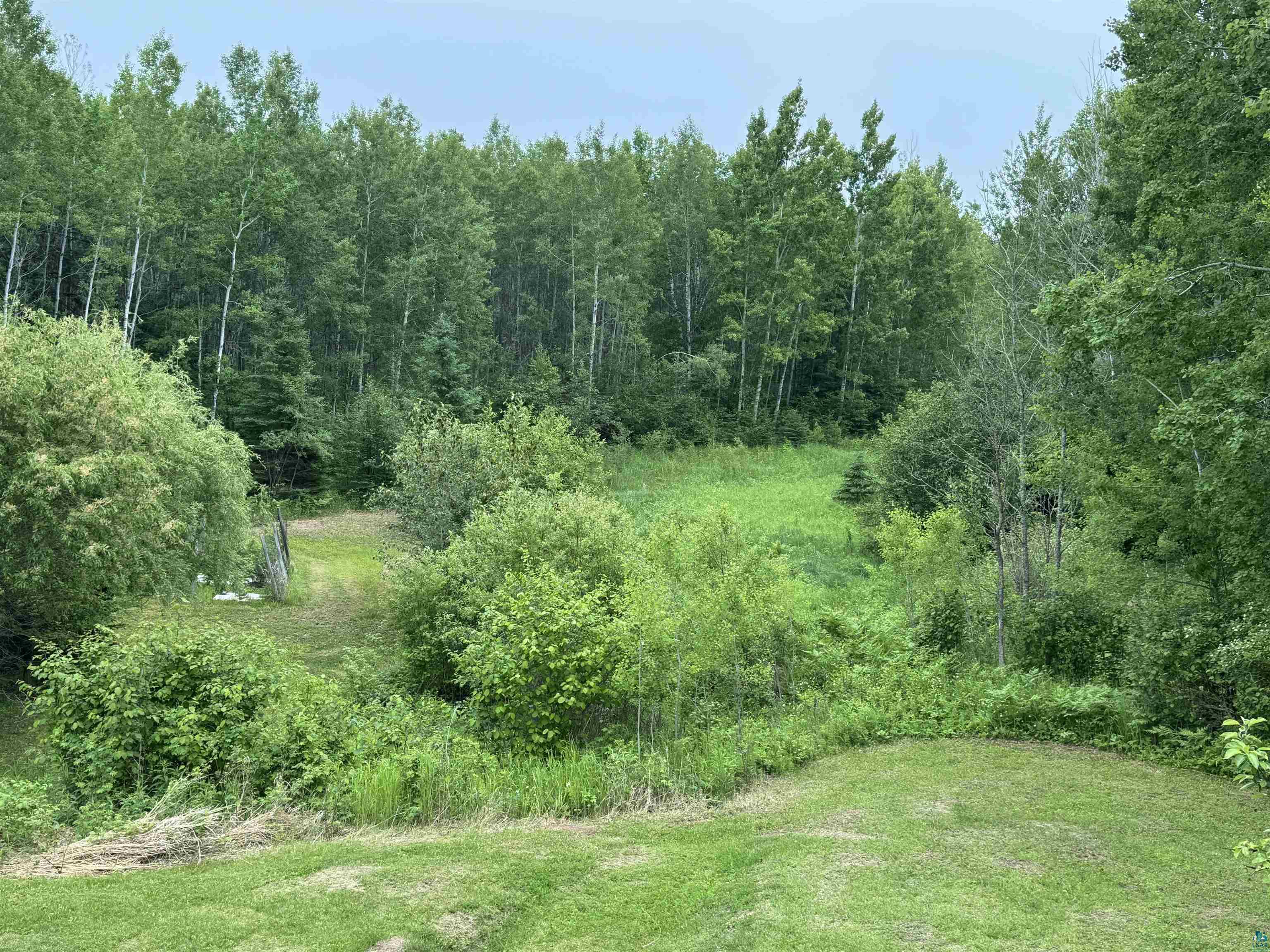1745 Becks Road Maple, WI 54854 - Photo 35 of 46 Expansive natural landscape featuring lush greenery and mature trees