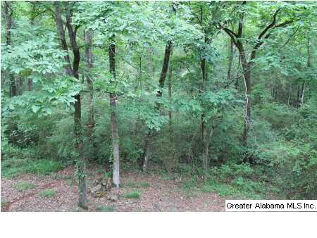 288 Brenda Drive Alabaster, AL 35007 - Photo 4 of 22