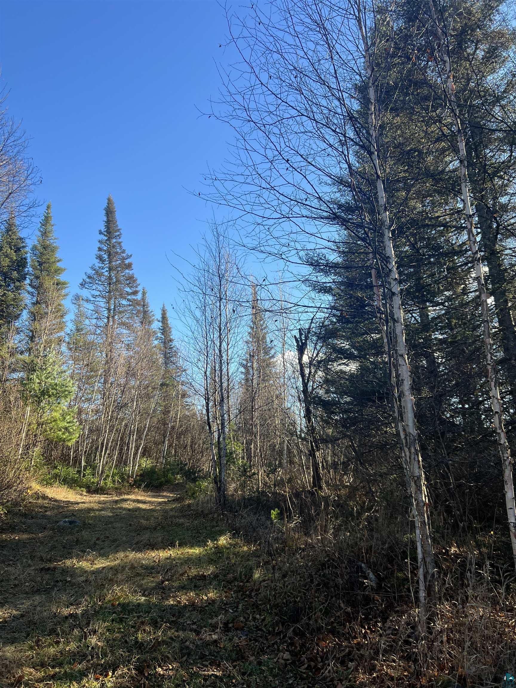 Tbd Heffelfinger Road Silver Bay, MN 55614 - Photo 12 of 31
