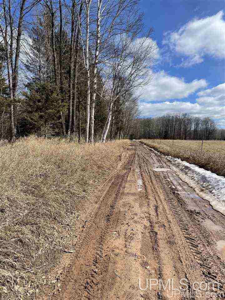 Tbd Tbd Co Road, Unit 1 Marquette, MI 49855 - Photo 46 of 50