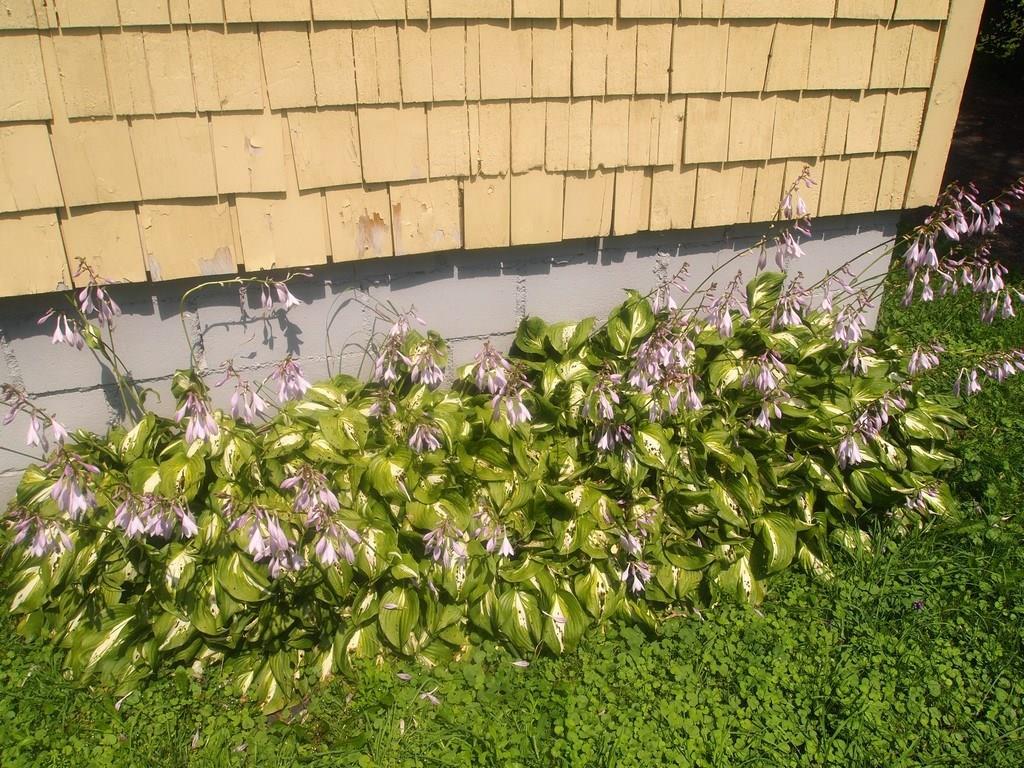 38 Coldbrook Road Hampden, ME 04444 - Photo 7 of 35 Photo