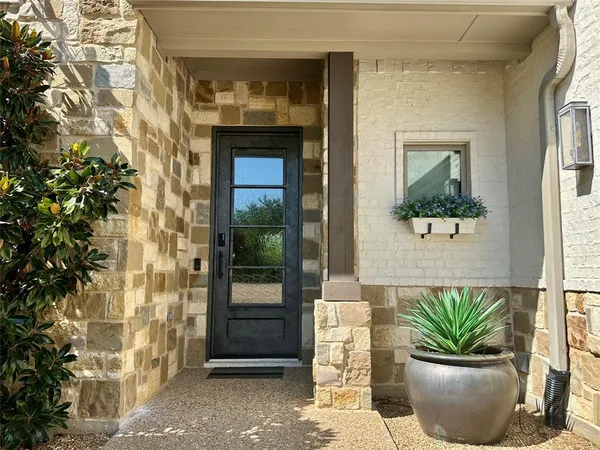 a potted plant sitting on the side of a building
