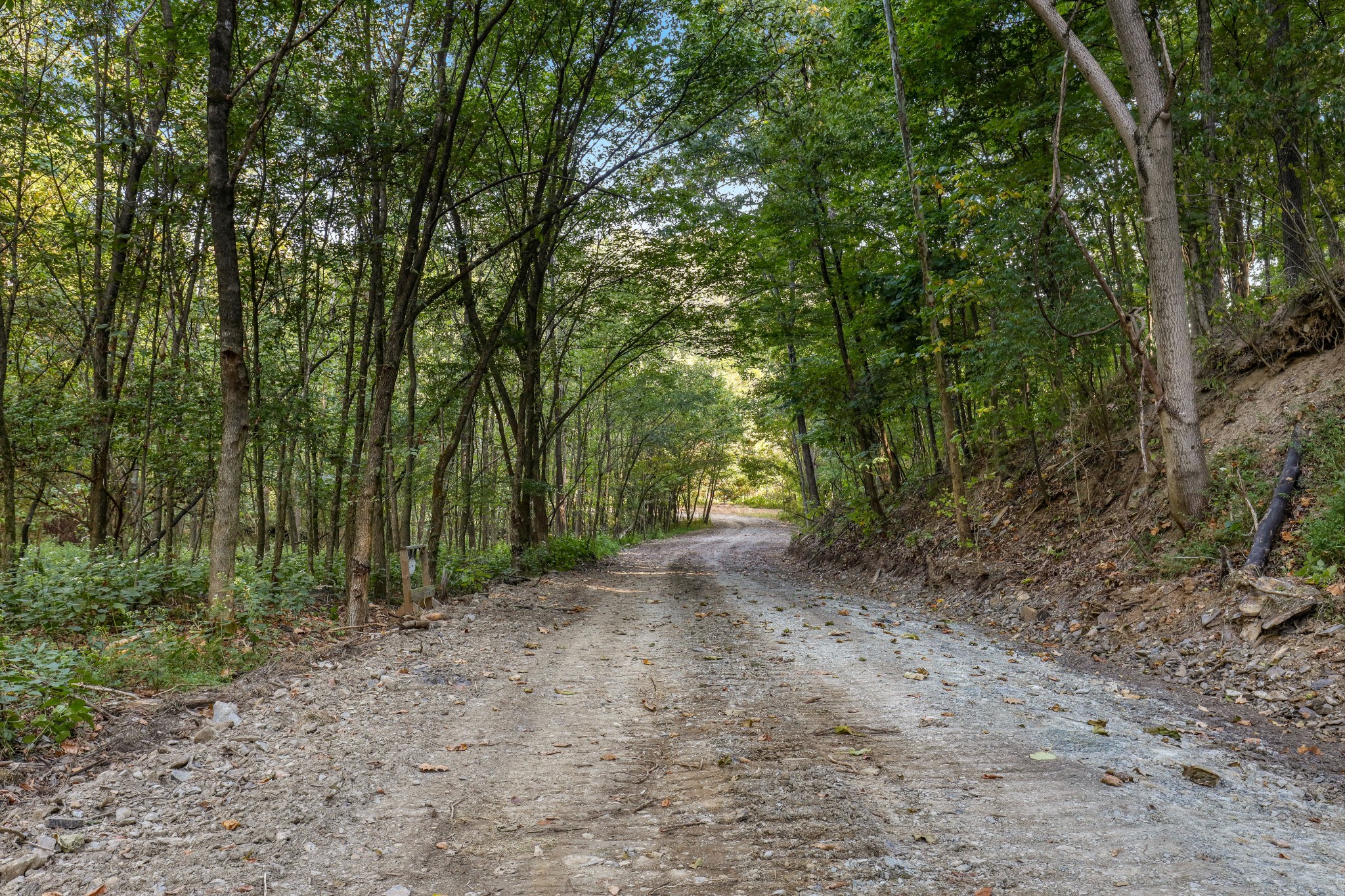 0 Baker Station Road Goodlettsville, TN 37072 - Photo 2 of 10 a view of a forest with trees in the background