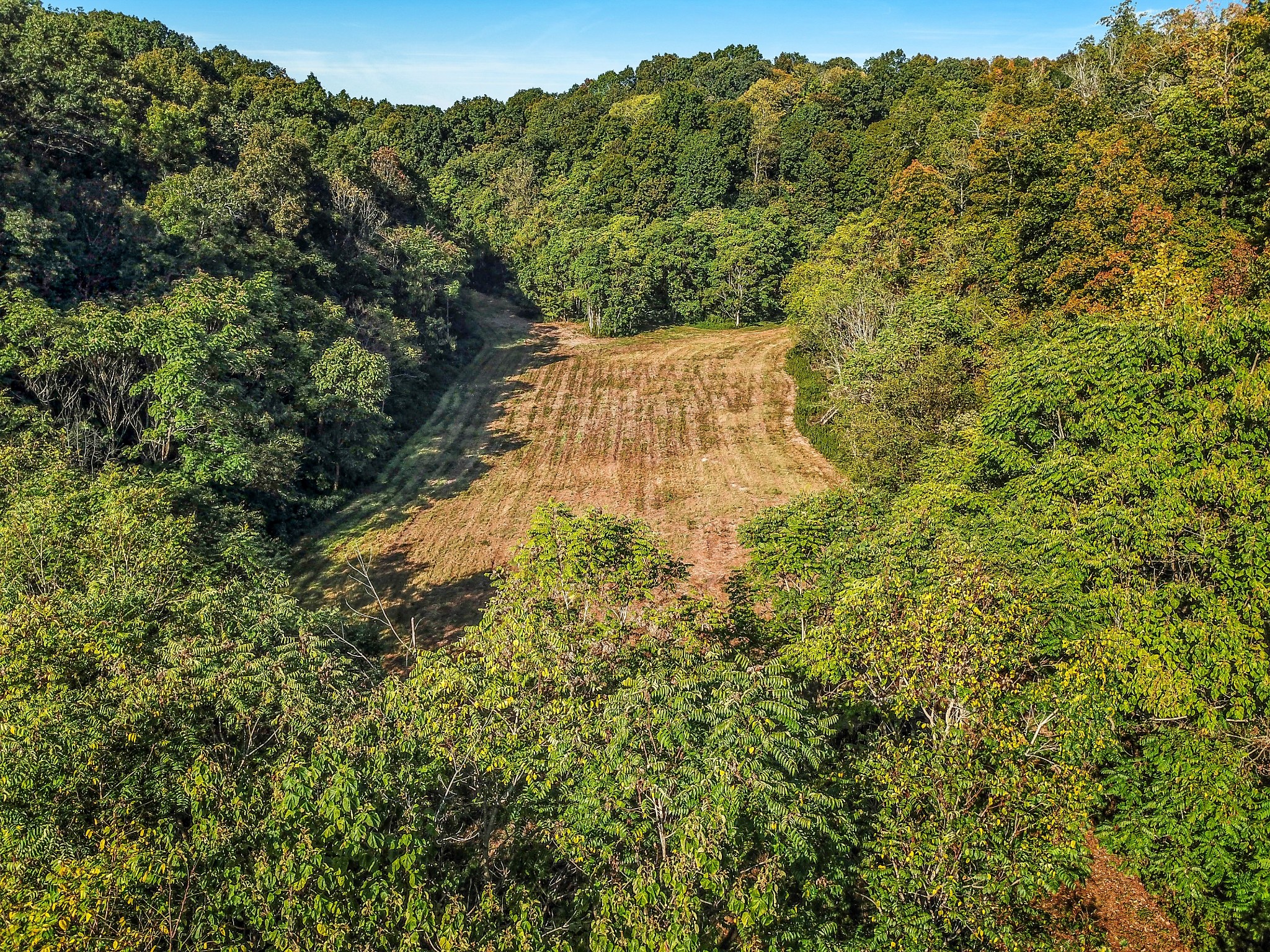 0 Baker Station Road Goodlettsville, TN 37072 - Photo 5 of 10 a view of a forest with a tree