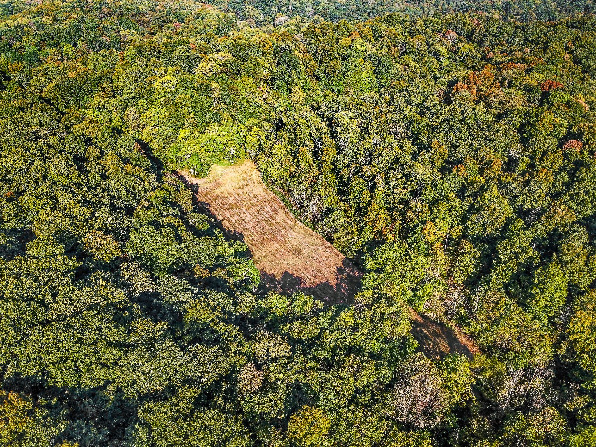 0 Baker Station Road Goodlettsville, TN 37072 - Photo 6 of 10 a view of a yard