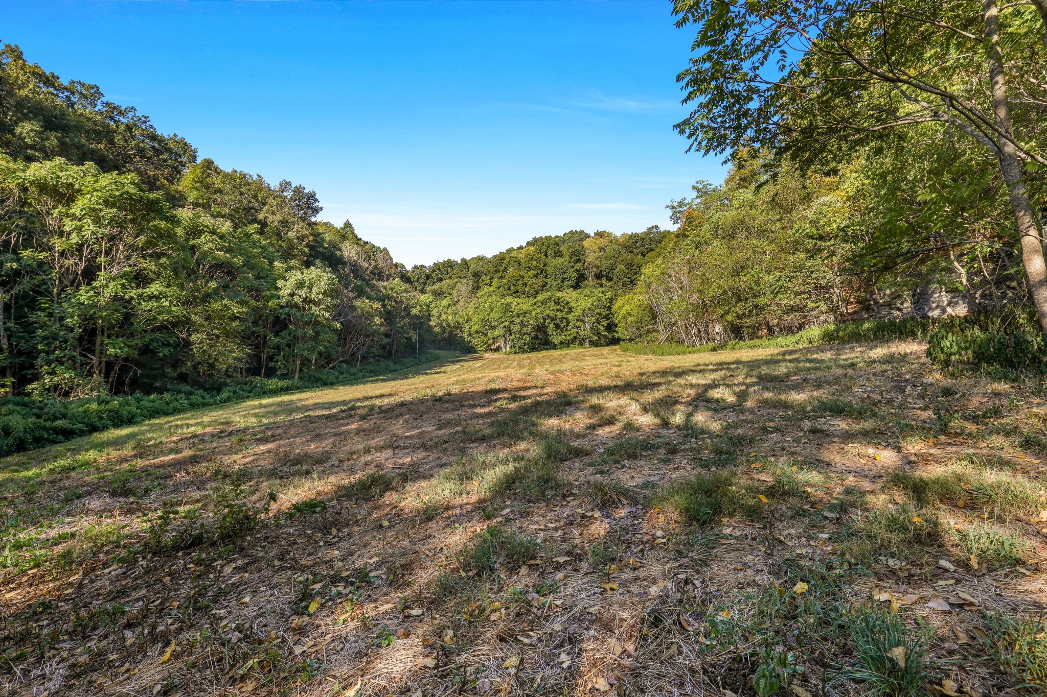0 Baker Station Road Goodlettsville, TN 37072 - Photo 7 of 10 a view of a field with trees in background