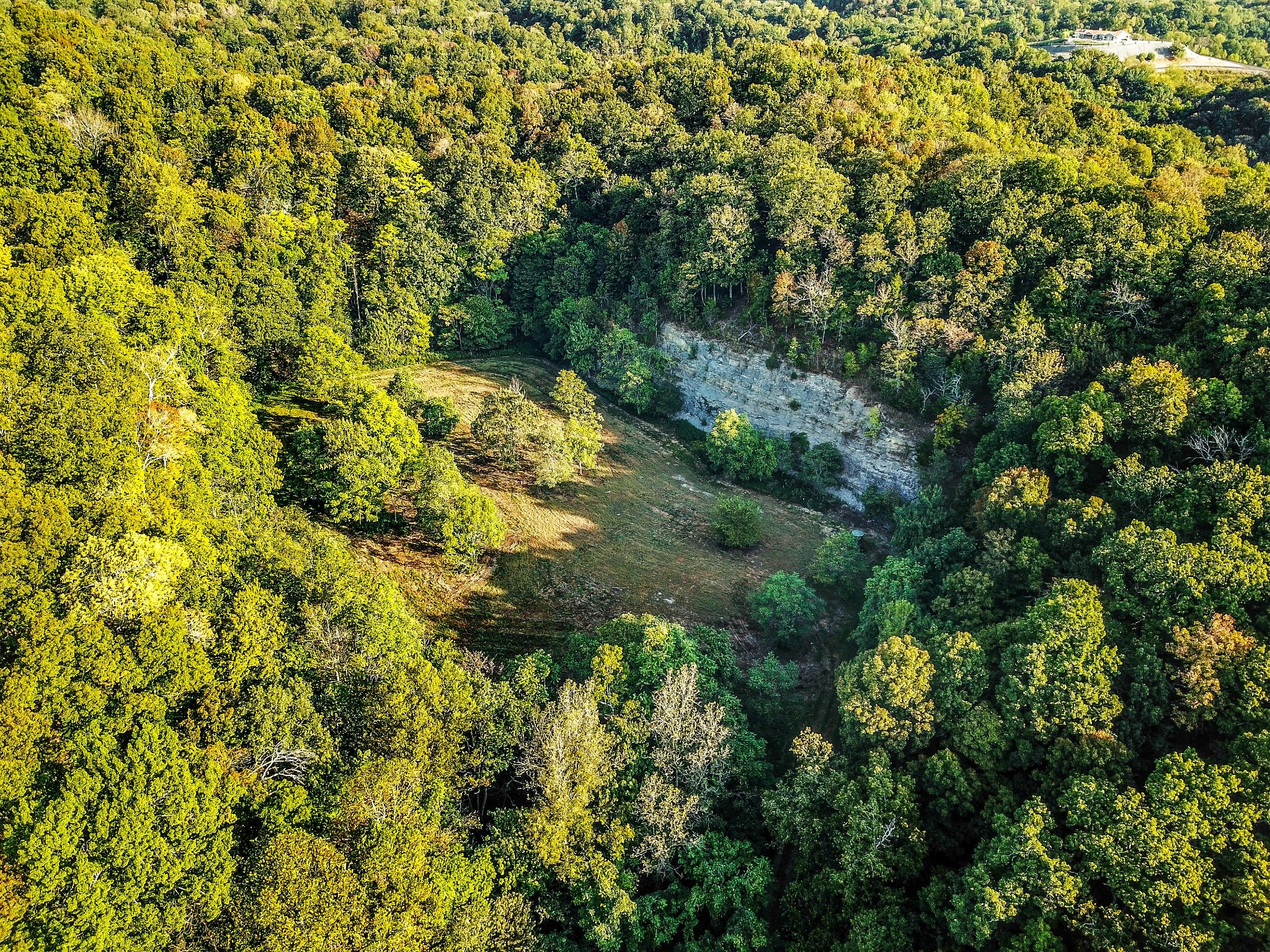 0 Baker Station Road Goodlettsville, TN 37072 - Photo 8 of 10 a view of a big yard with plants and large trees