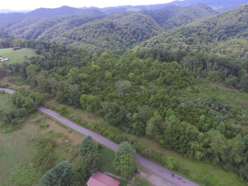 Tbd Romans Ridge Road Honaker, VA 24260 - Photo 16 of 51 Gallery Image 16