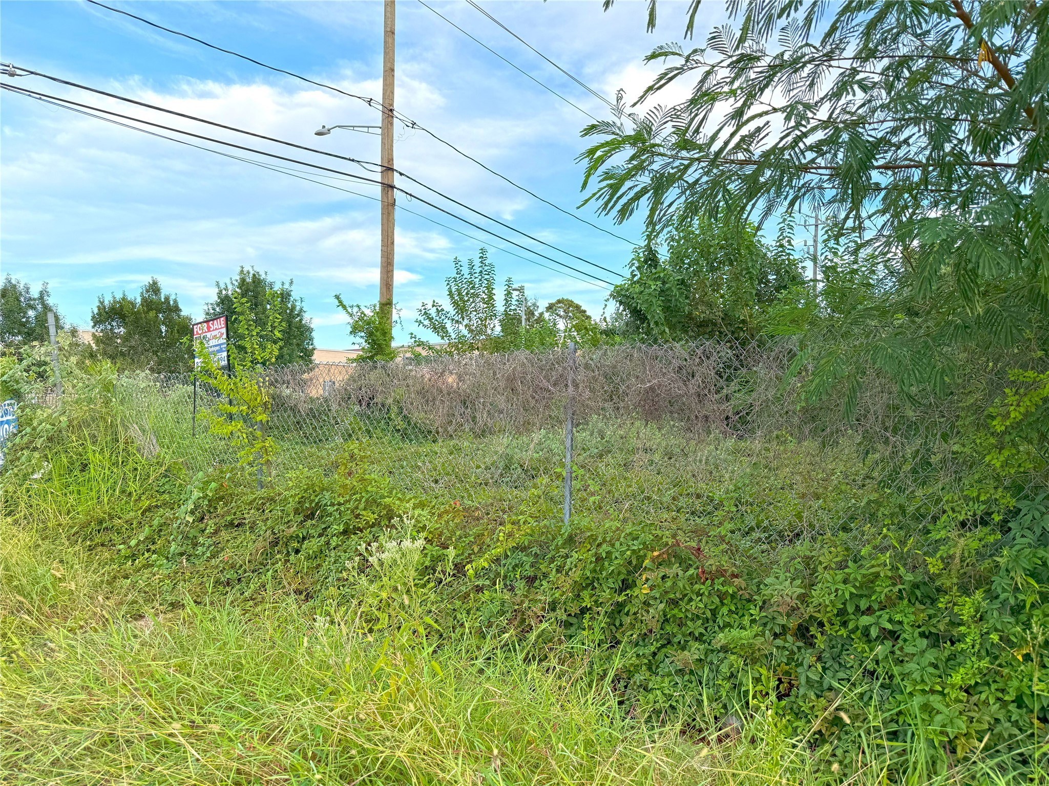 22 Stokes Street Houston, TX 77022 - Photo 5 of 8 a view of a yard
