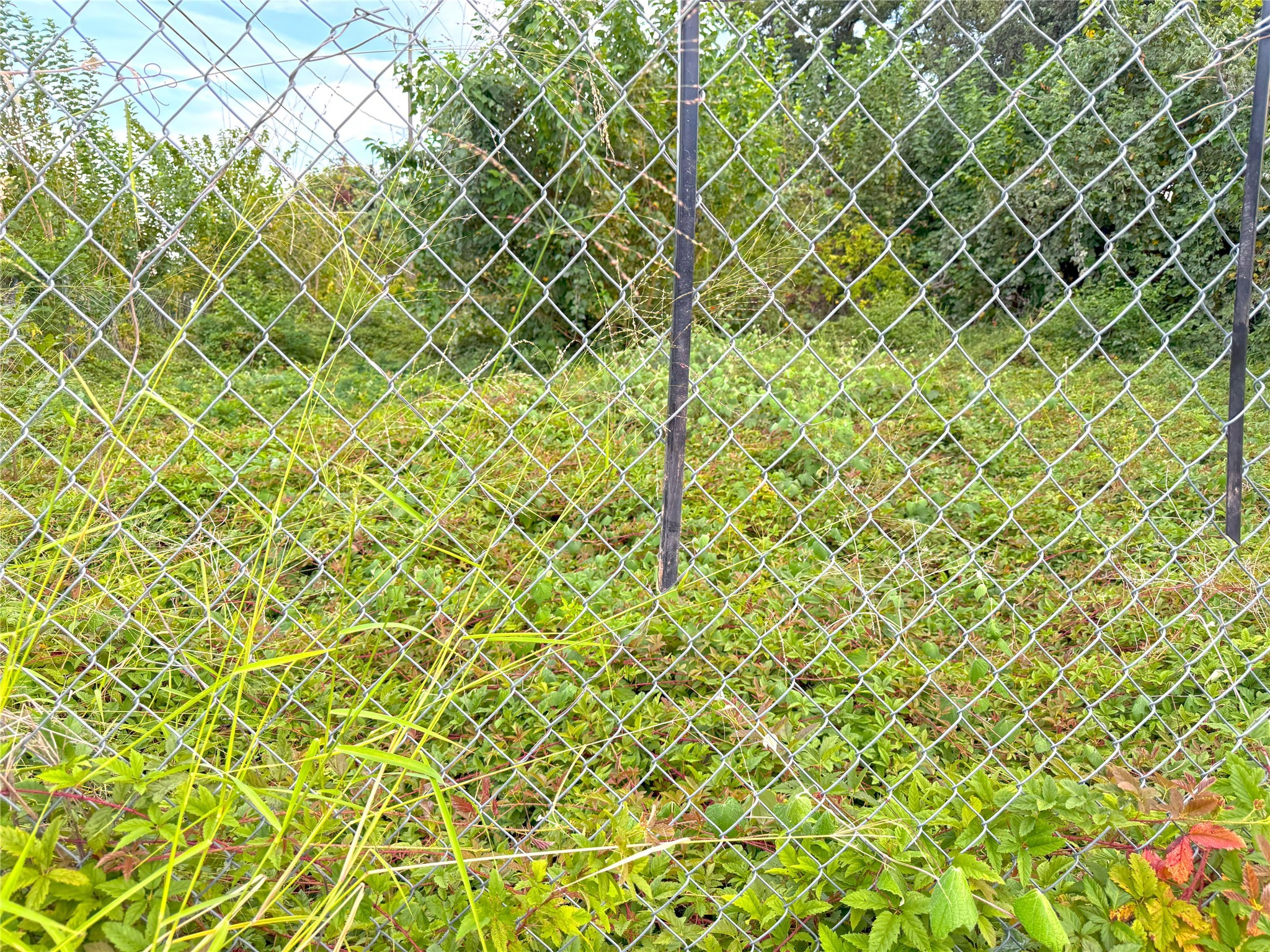 22 Stokes Street Houston, TX 77022 - Photo 7 of 8